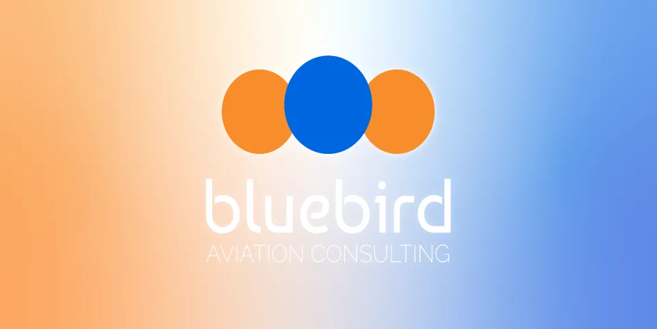 Bluebird Aviation Services company banner